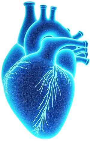 Heart Image